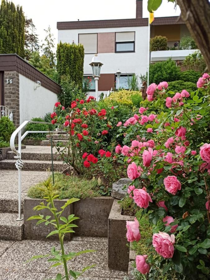 Gala, Ruhige Lage, Stadtnah * Bad Kissingen