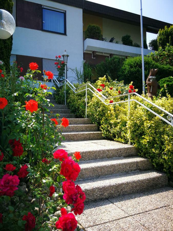Apartment Gala, Ruhige Lage, Stadtnah