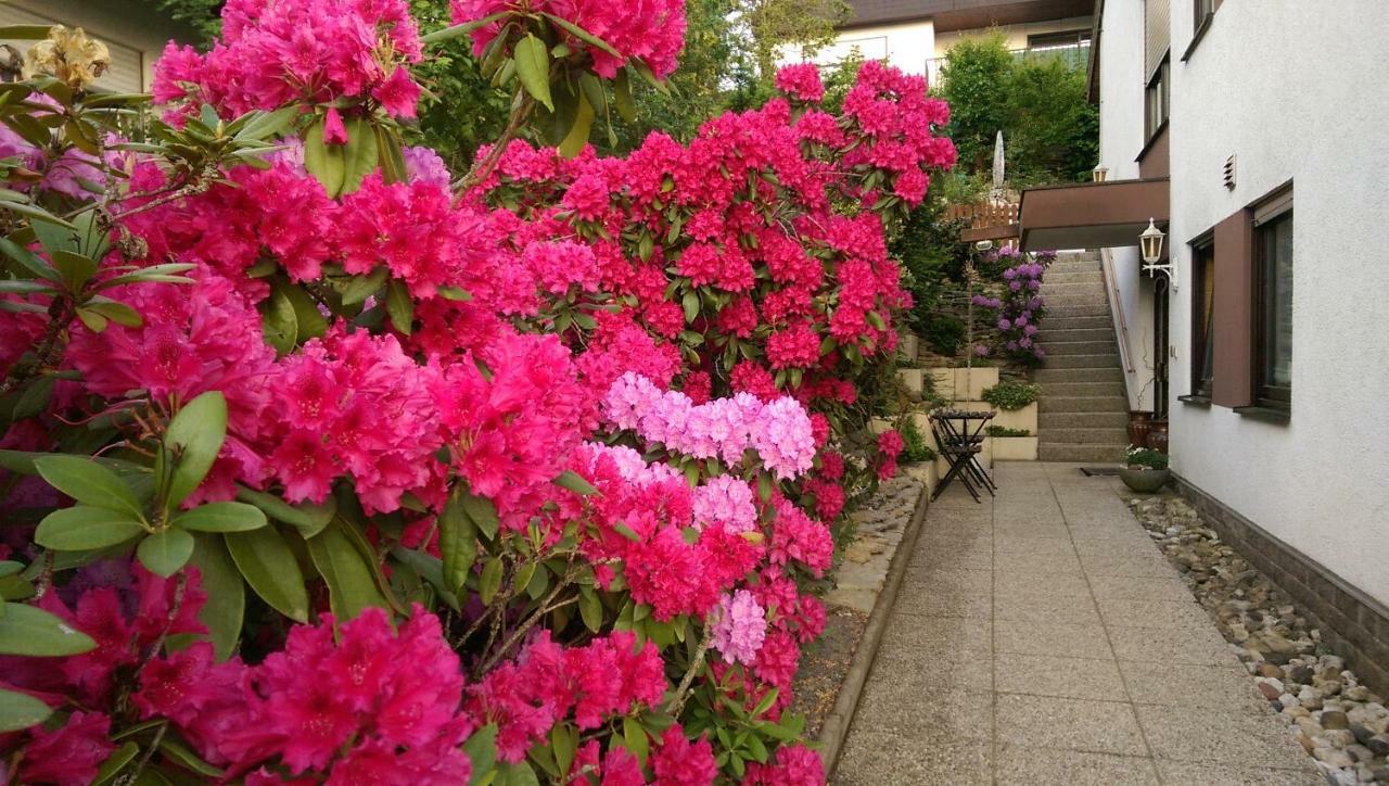 Apartment Gala, Ruhige Lage, Stadtnah Bad Kissingen