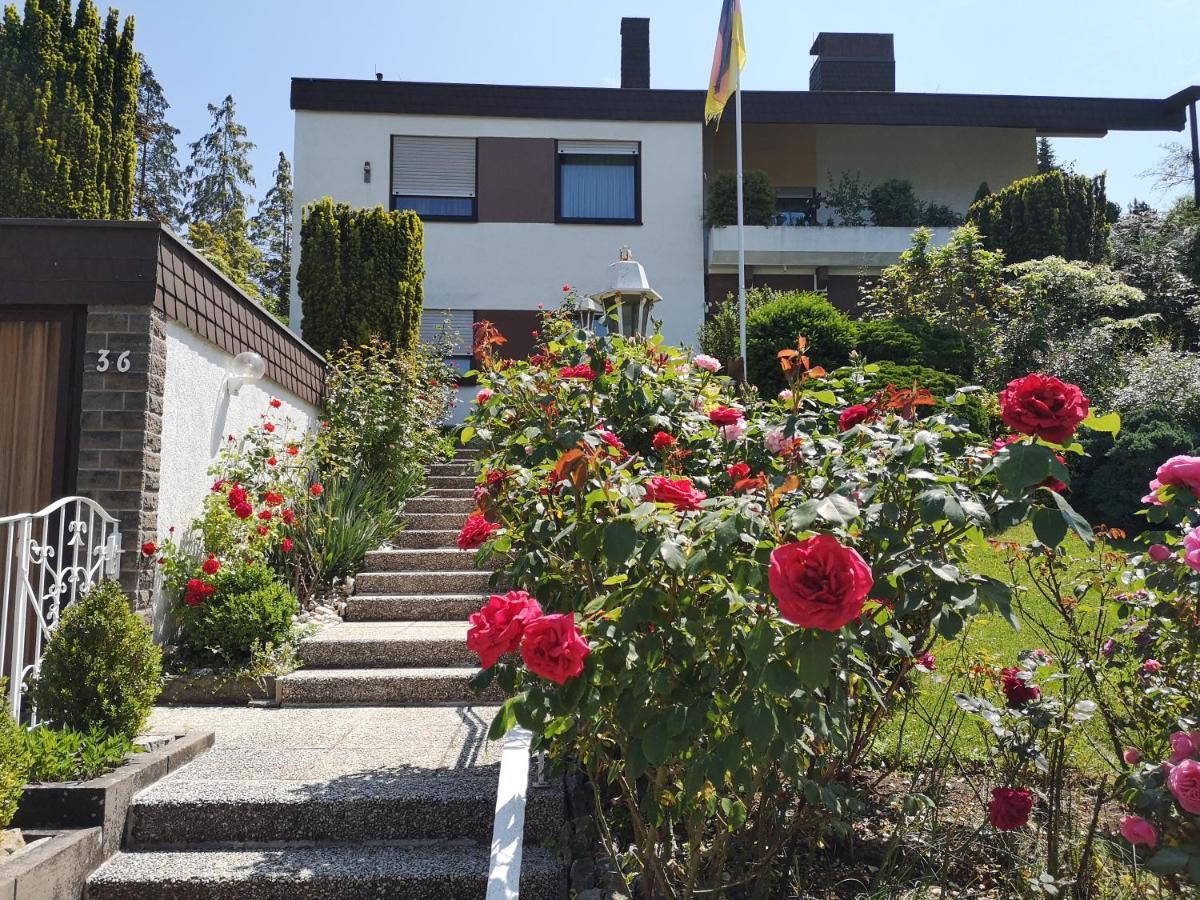 Apartment Gala, Ruhige Lage, Stadtnah *